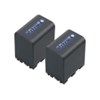 pin sony np - qm91d hinh 1